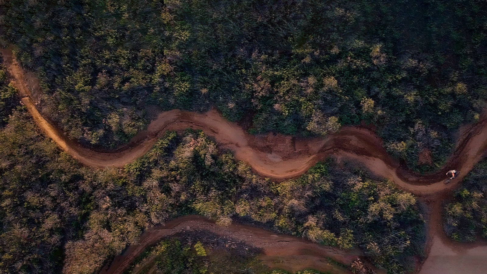 Tommy Zula: Ride Everything