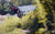 Trail / Enduro Bikes
